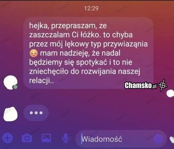 Zajszczane łóżko