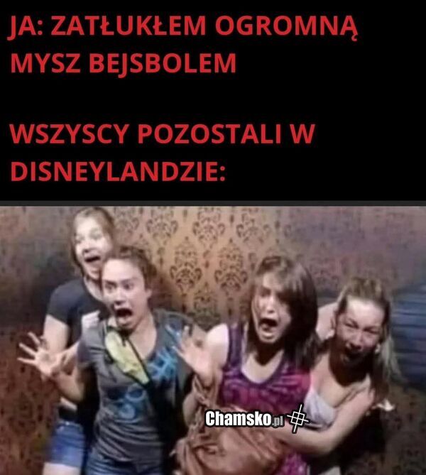 Wielka mysz