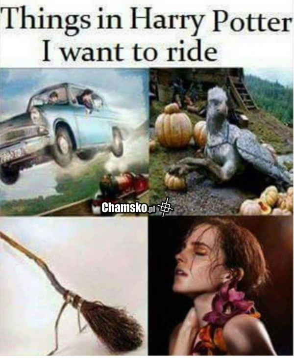 Na czym byś pojeździł?