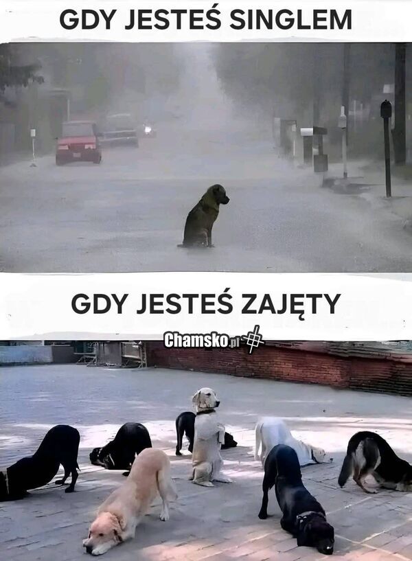 Singiel vs zajęty