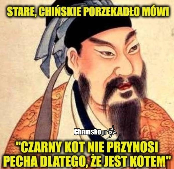 Czarny kot