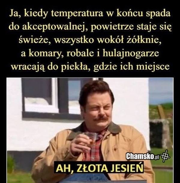 Złota jesień