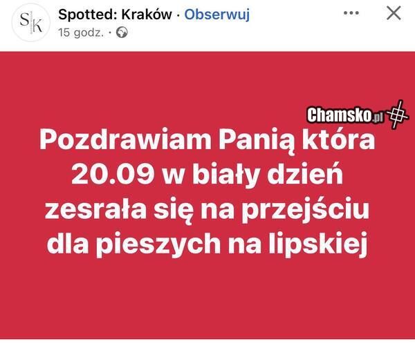 Pozdrawiamy
