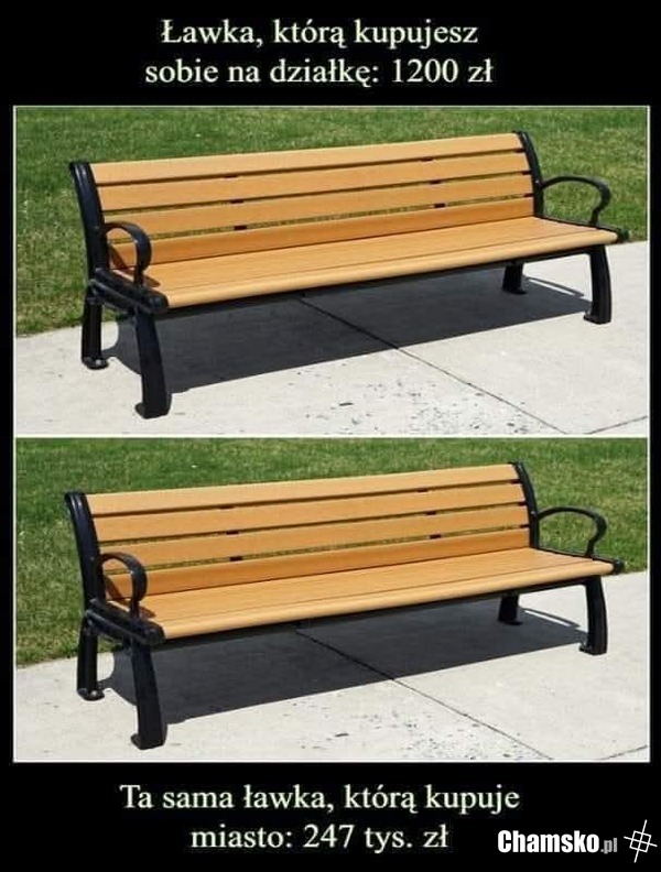 0_1_129744_Trzeba_was_ruchac_przez_Rasis