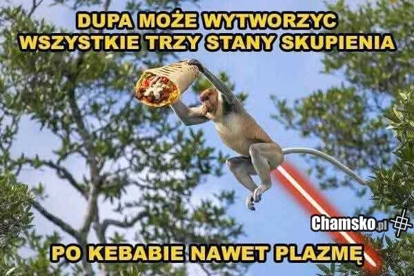 Po kebsie