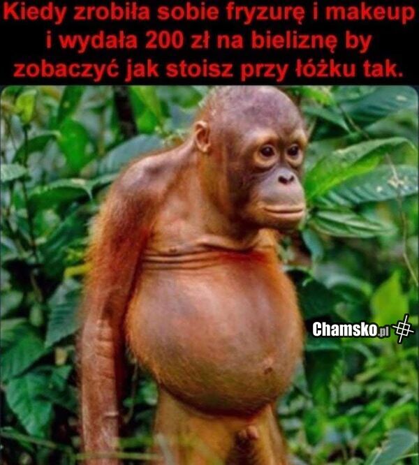 Przewalone dwie stówy