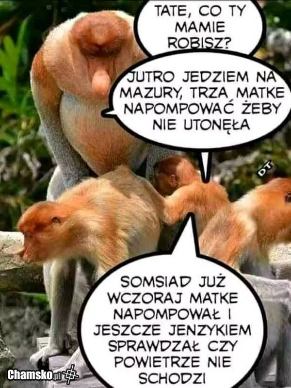 Jedziemy na Mazury.