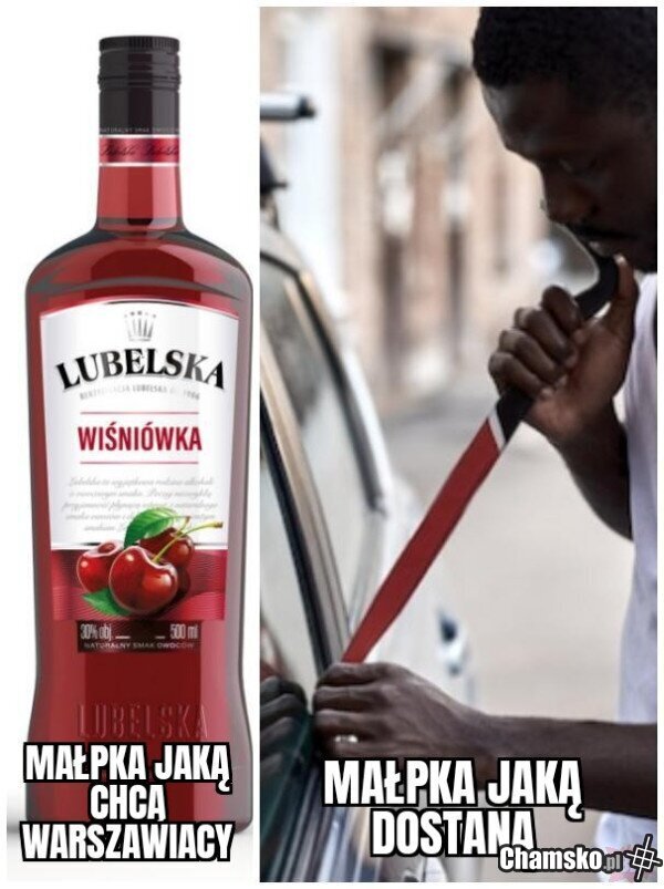 Warszawskie małpki
