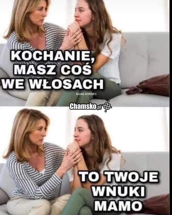 Coś we włosach