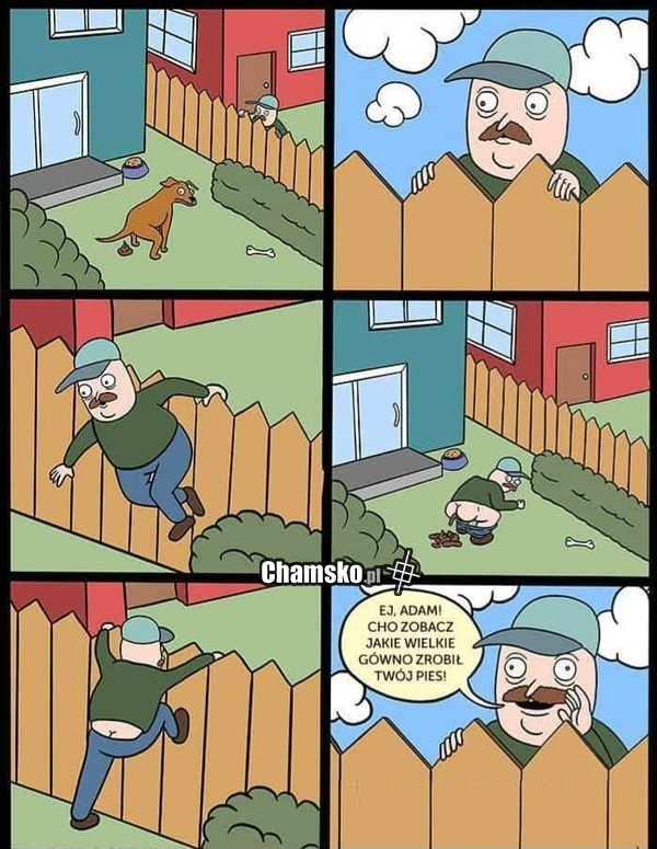 Wielka kupa