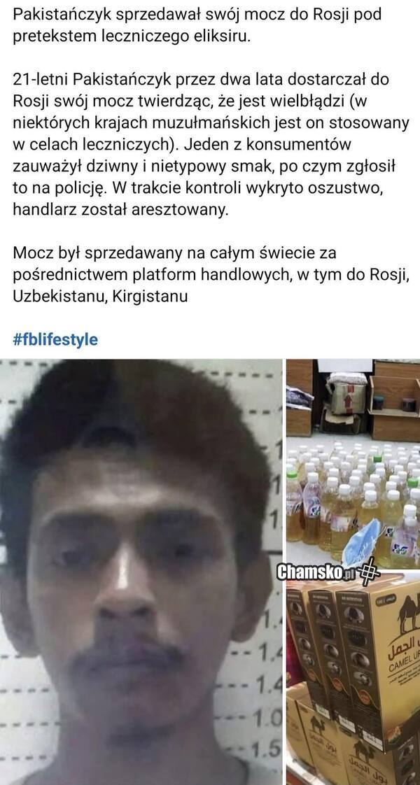 Pomysł na biznes