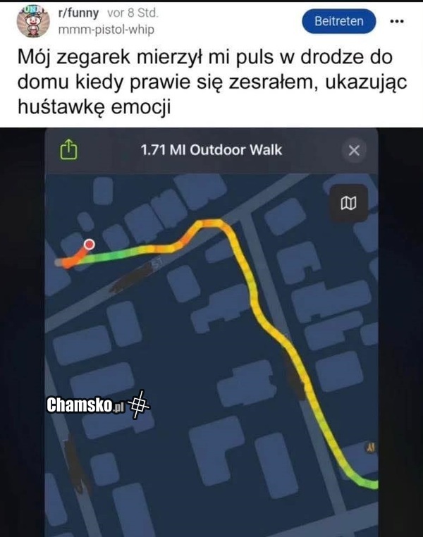 Mierzenie pulsu
