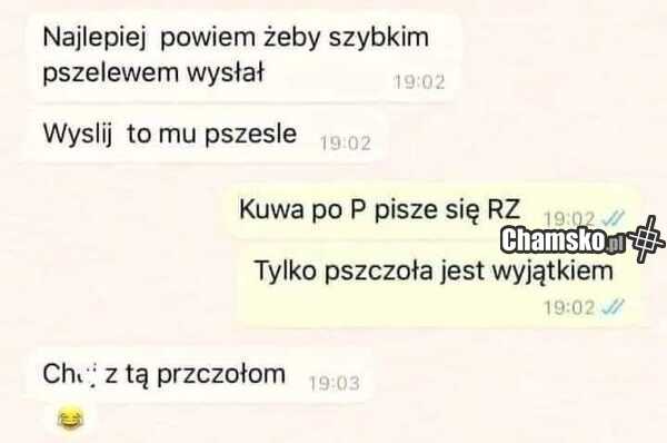 Poprawna pisownia