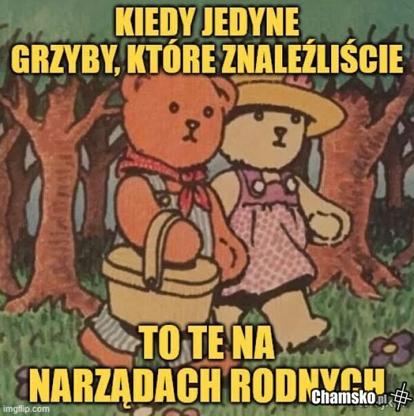 Grzyby