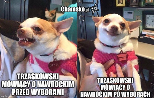 ocieplanie swojego wizerunku