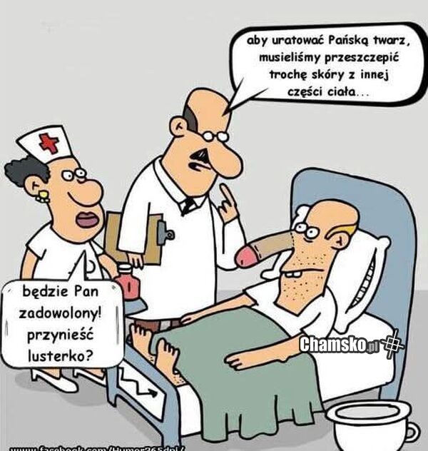 Przeszczep