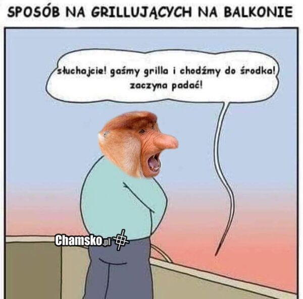 Grill na balkonie