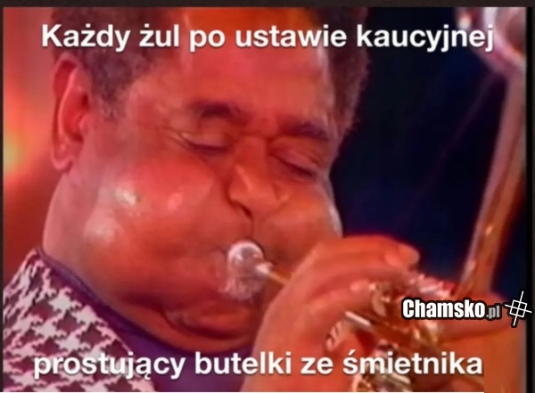 Ustawa kaucyjna