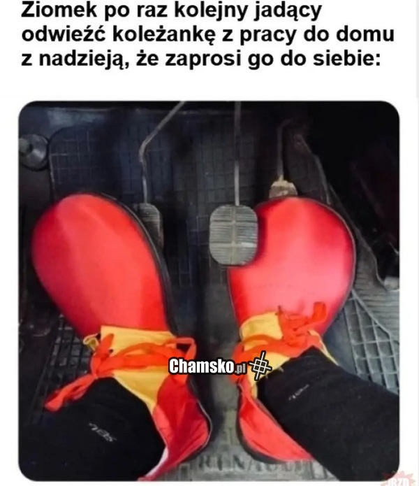 Podwózka