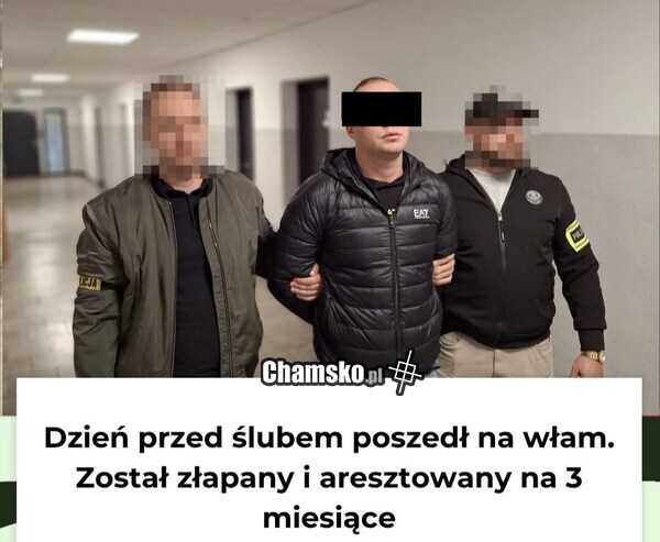 Geniusz, kilka miesięcy zamiast dożywocia