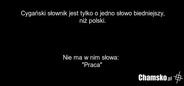 Cygański słownik jest tylko o jedno słowo biedniejszy, niż polski. Nie ma w nim słowa: "Praca"