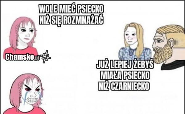 Psiecko