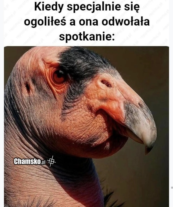 Odwołane spotkanie