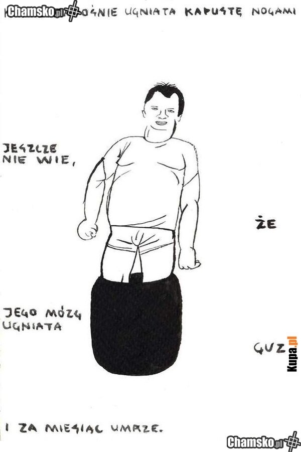 Kamil Podkomórka 887 805 225