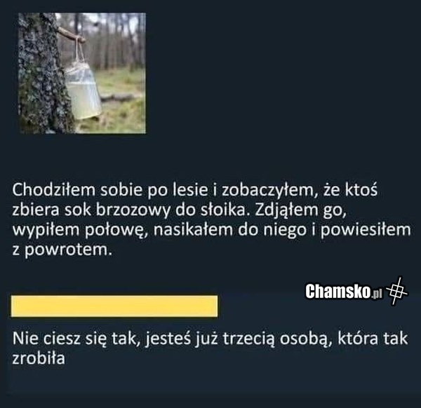 Sok z brzozy