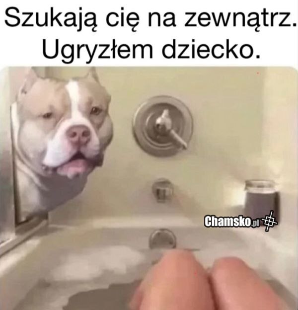 Szukają Cie