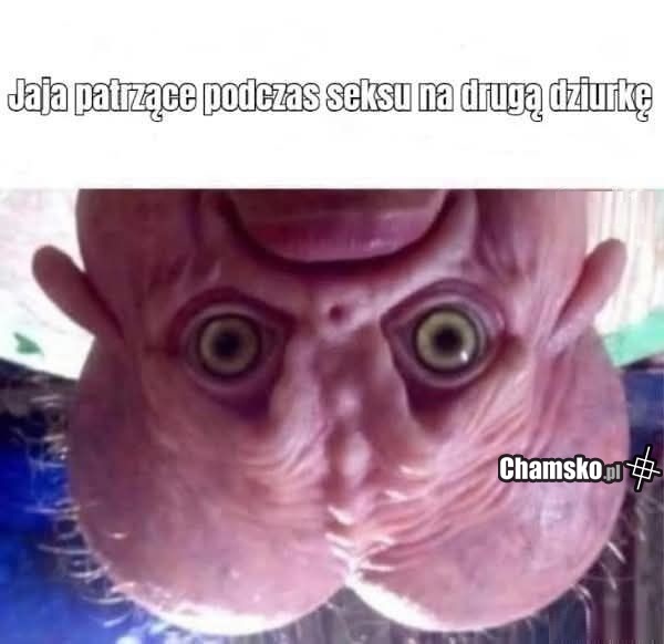 Jaja