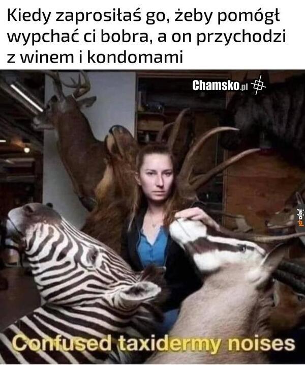 Nieporozumienie