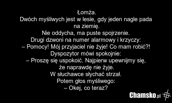 Łomża. Dwóch myśliwych jest w lesie, gdy jeden nagle pada na ziemię. Nie oddycha, ma puste spojrzenie. Drugi dzwoni na numer alarmowy i krzyczy: – Pomocy! Mój przyjaciel nie żyje! Co mam robić?! Dyspozytor mówi spokojnie: – Proszę się uspokoić. Najpierw upewnijmy się, że naprawdę nie żyje. W słucha…