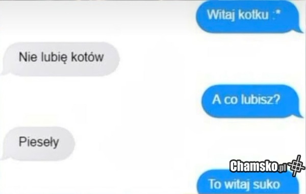 Hej kotku