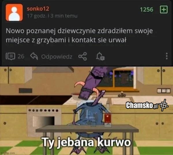 Miejscówka na grzyby