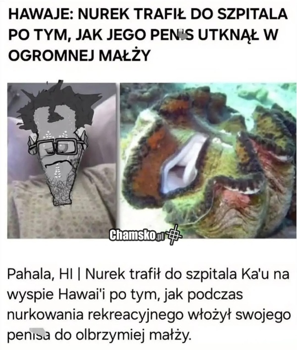 Mała wpadka nurka