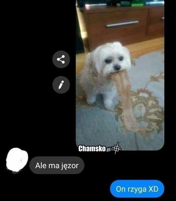 Długi język