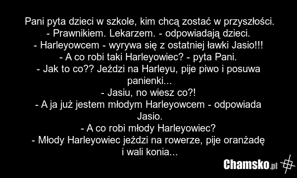 Pani pyta dzieci w szkole, kim chcą zostać w przyszłości. - Prawnikiem. Lekarzem. - odpowiadają dzieci. - Harleyowcem - wyrywa się z ostatniej ławki Jasio!!! - A co robi taki Harleyowiec? - pyta Pani. - Jak to co?? Jeździ na Harleyu, pije piwo i posuwa panienki... - Jasiu, no wiesz co?! - A ja już…