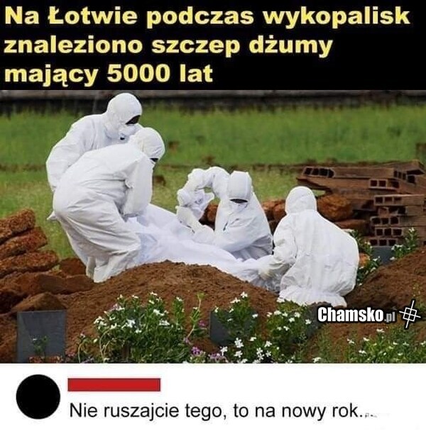 Szczep dżumy