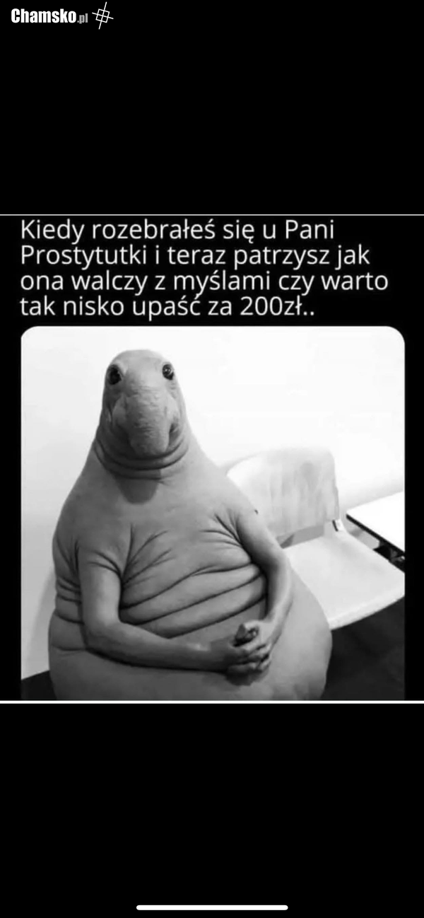 U Pani Prostytutki
