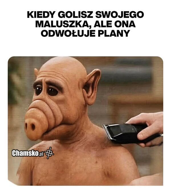Golenie przed randką