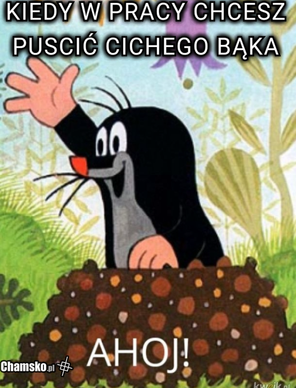Dupa