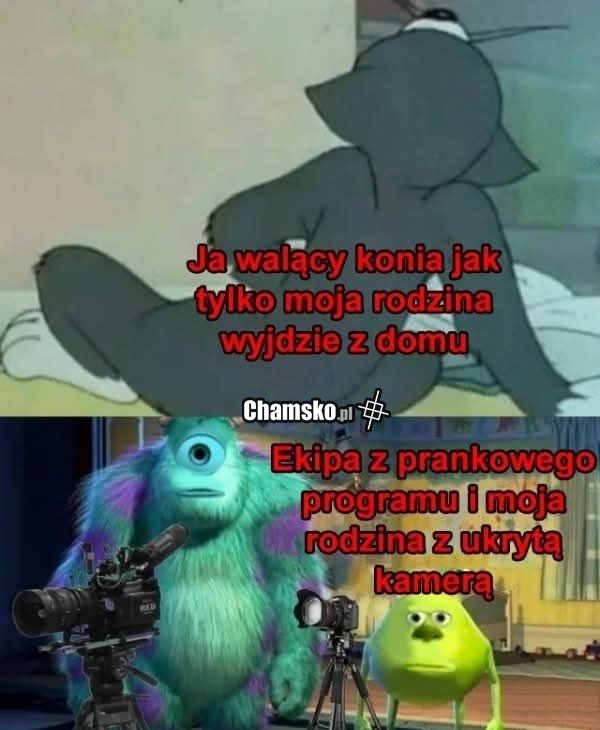 Ciekawe czy to opublikują