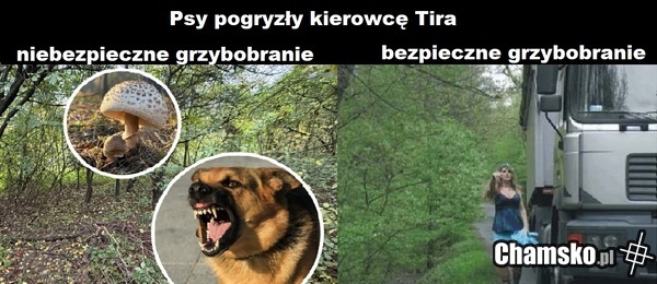 taka sytuacja