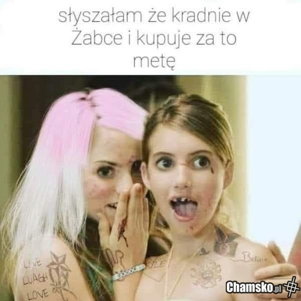 Idealny kandydat
