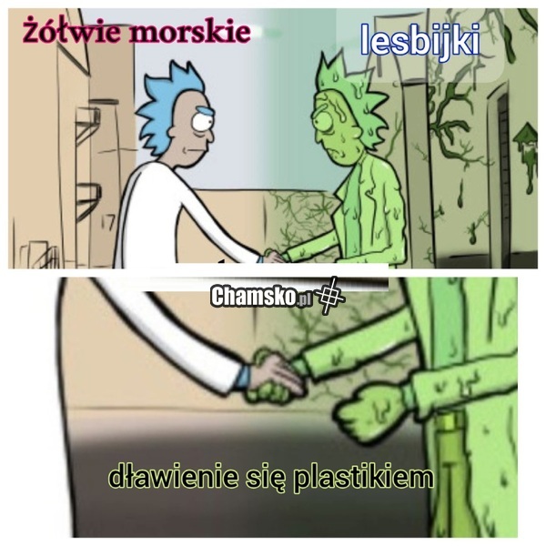 Wspólna cecha
