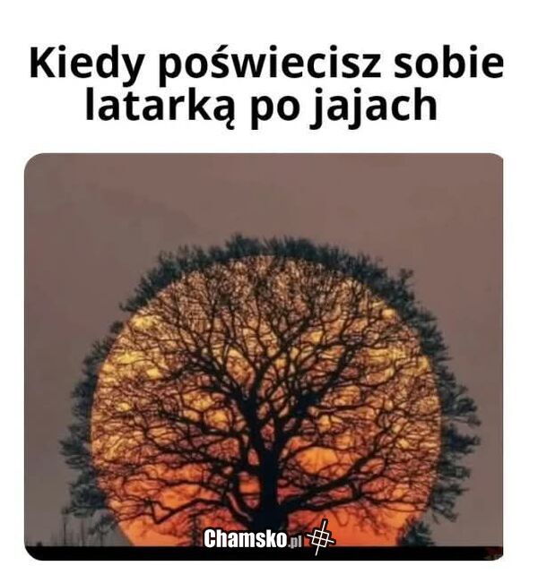 Wygląda wspaniale