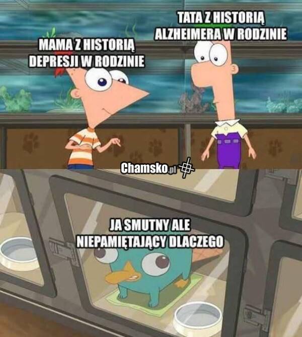 Smutna historia