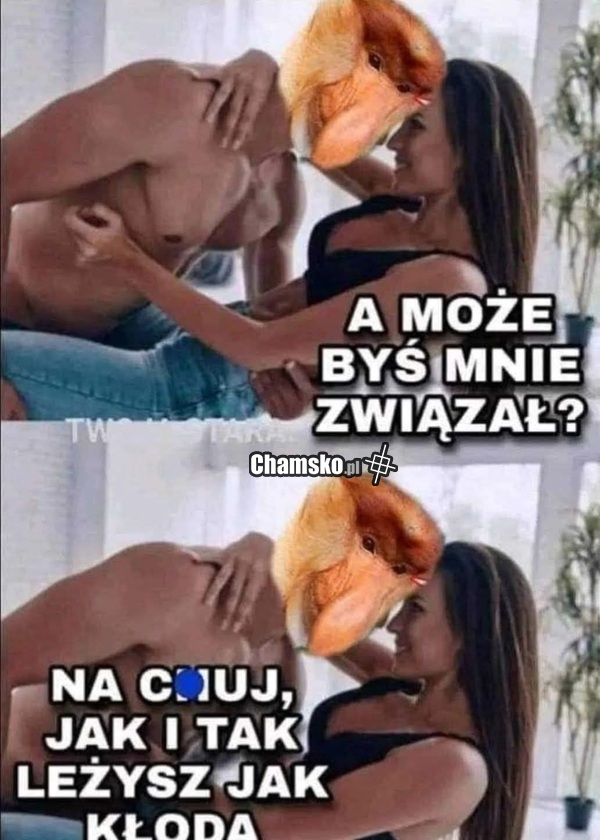 Wiązanie