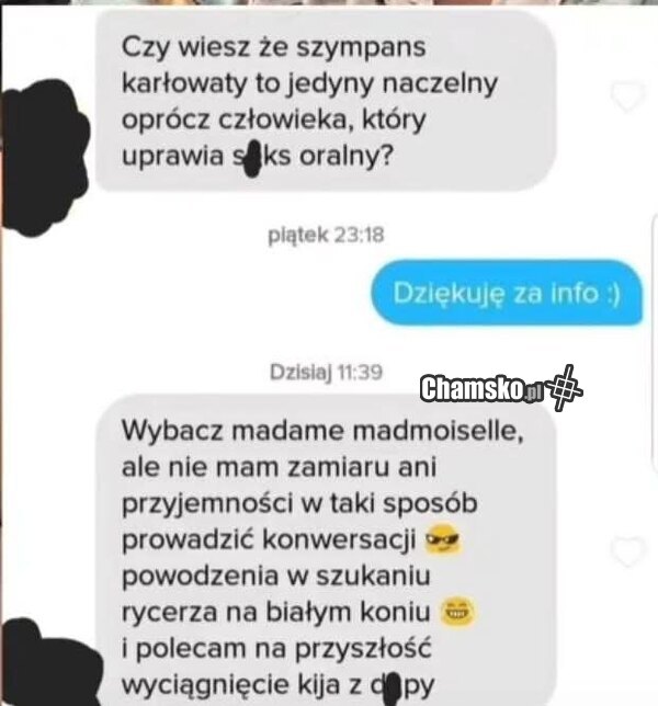 Księżniczka z kijem w